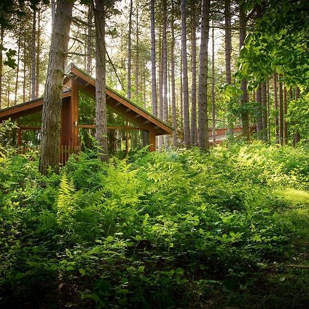Blackwood Forest Cabins - Forest Holidays Popham Zewnętrze zdjęcie