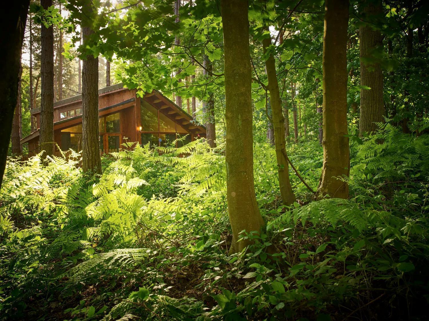 Blackwood Forest Cabins - Forest Holidays Popham Zewnętrze zdjęcie