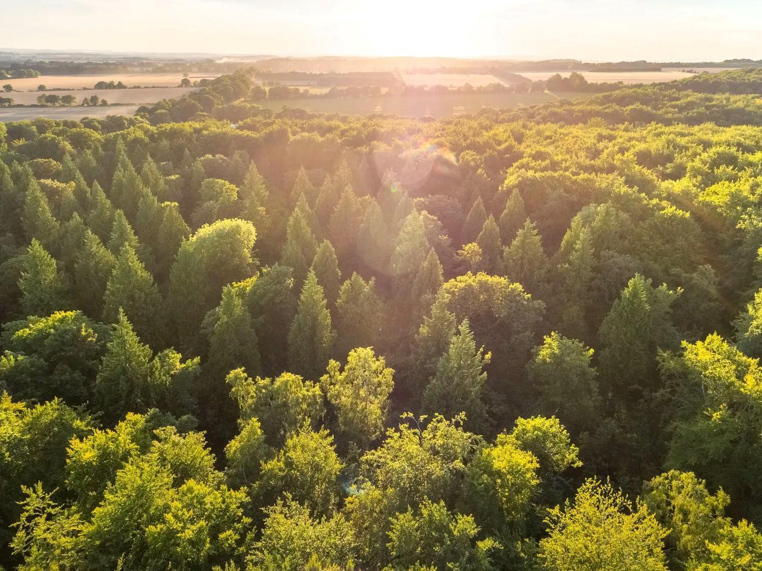 Blackwood Forest Cabins - Forest Holidays Popham Zewnętrze zdjęcie