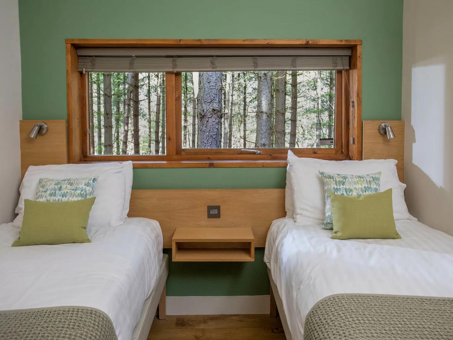 Blackwood Forest Cabins - Forest Holidays Popham Zewnętrze zdjęcie