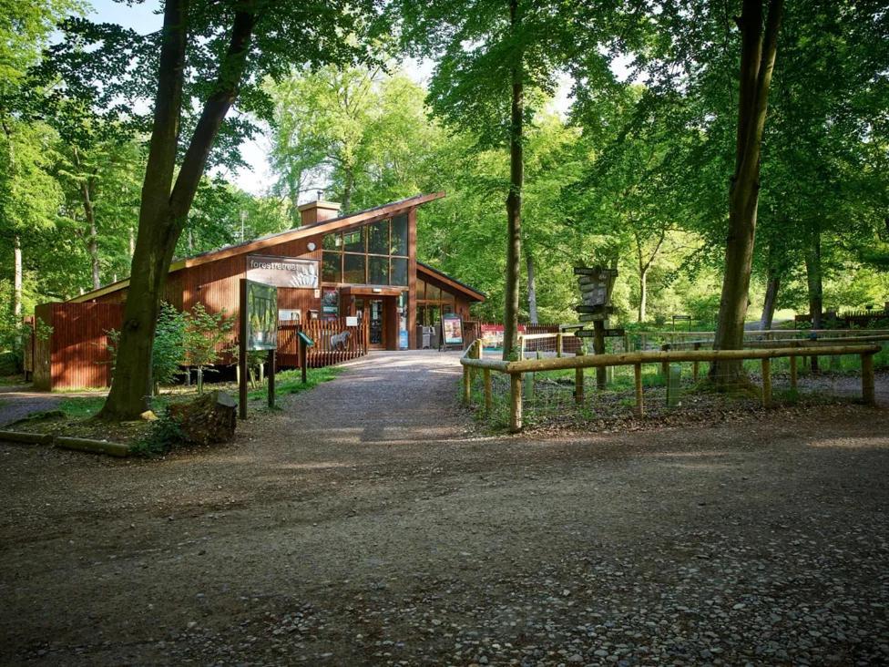 Blackwood Forest Cabins - Forest Holidays Popham Zewnętrze zdjęcie