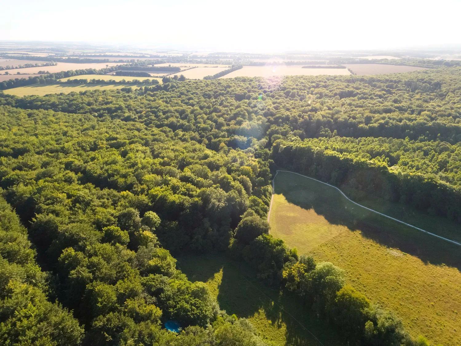 Blackwood Forest Cabins - Forest Holidays Popham Zewnętrze zdjęcie