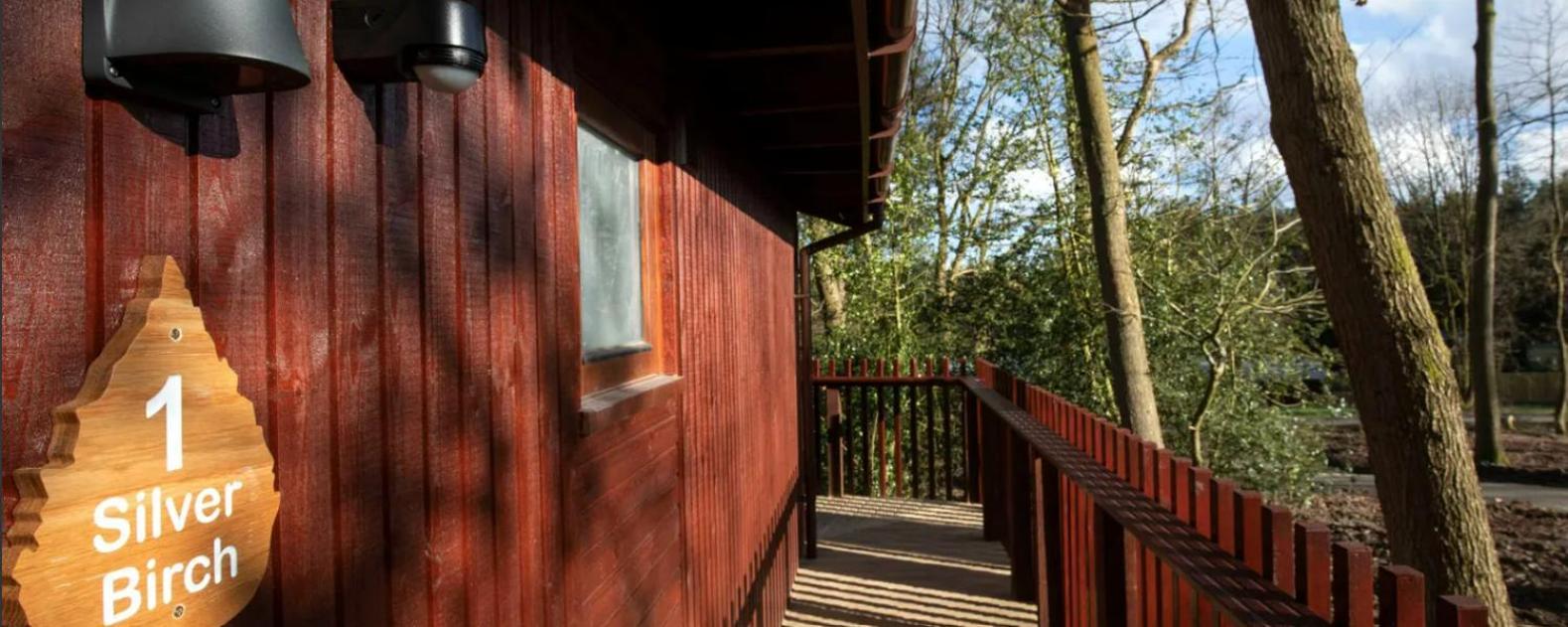 Blackwood Forest Cabins - Forest Holidays Popham Zewnętrze zdjęcie